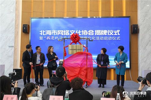 北海市网络文化协会揭牌成立!
