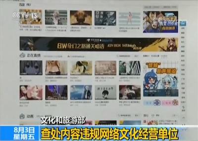 文化和旅游部依法查处内容违规网络文化经营单位